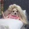sarahptak - @sarahptak1 - TikTok