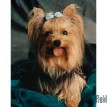 валюшка - @sarapula - Instagram