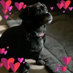 Sarah Purdy - @sarah.purdy.9026 - Instagram