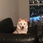 Sarah - @sarah.khun.purdy - Instagram