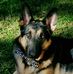 Sarah Rabon - Facebook