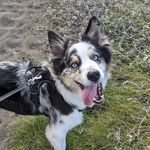 Sarah Raney - @just_the_bear_necessities - Instagram