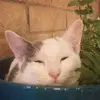 Sara - @sararebollar999 - TikTok