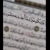 Sara Reda - @sara.reda238 - TikTok