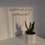 ŠaŘah - @_sara_reda - Instagram