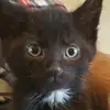 Sara - @sararees95 - TikTok