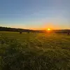 sara - @sararees_09 - TikTok