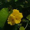 Sara Rempel - @david.sara11 - TikTok