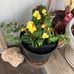 Sara Rempel - Facebook