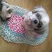 Sarah Rempel - Facebook