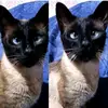 Sara Rey - @sara.rey307 - TikTok