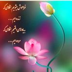 Sara Rezaei - Facebook
