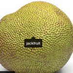 sara&rick - @jackfruitlovers - Instagram
