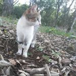 Sara Riedel - @mismascotas742 - Instagram