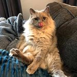 Sarah Rieger - @sarah.rieger.90 - Instagram