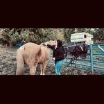 Sara Riggs - @riggs6542 - Instagram