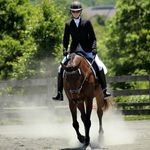 Sara Roberson - @daleks_and_dressage - Instagram