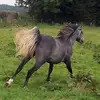 Sara Roberson - @sara.roberson7 - TikTok