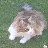 Sararoby73 - @sararoby73 - TikTok