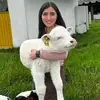 Sara Rojas - @saraarojas - TikTok