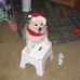 Sarah Rolfe - Facebook