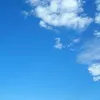 Sara Roque - @33475272601 - TikTok