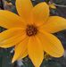 Sarah Rost - Facebook
