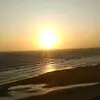 Sara Royer - @sararoyer1 - TikTok
