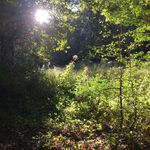 Sara Rudd Storck - @sarastorck - Instagram