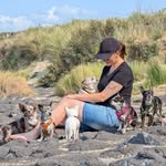 Sarah Rupp - @sarahs.chihuahuabande - Instagram