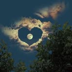 Sara Saadeh - Facebook