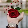 sara saadi - @sarasaadi27 - TikTok