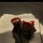 SARA SAFI - @sarasafi901 - Instagram