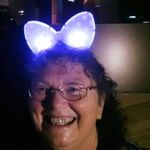 Sara Salisbury - @saraandlady - Instagram
