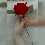 Sara Sallam - Facebook