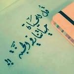 Sara Sallam - @sara.sallam.581 - Instagram