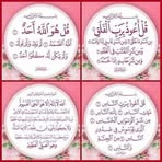 Sara Sallam - Facebook