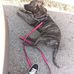 Sarah Sanger - Facebook