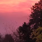sara.sasso. - @sara.sasso_1973 - Instagram