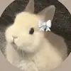 🍪Cookiecats🐈 - @sara.sattar2 - TikTok