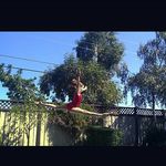 Sarah Ben - @sarasault.gymnastics - Instagram