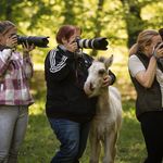 Sarah Schäfer - @sarah.schaefer.tierfotografie - Instagram