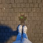 Sarah Scheer - Facebook