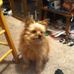 Sara Schill - Facebook