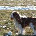 Sara Schiller - Facebook