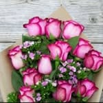 Sara Schlichting - @sara_myree - Instagram