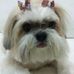 Sara Schlichting - Facebook