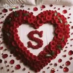 Sara Salaa - Facebook