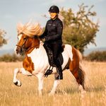 Sarah Seifert - @sarah_hestaborg - Instagram