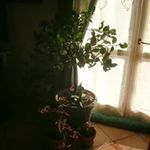 Sara Serio - @serio5021 - Instagram